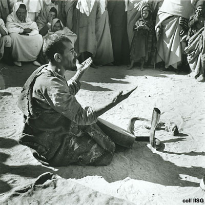 Snake charmer Morocco